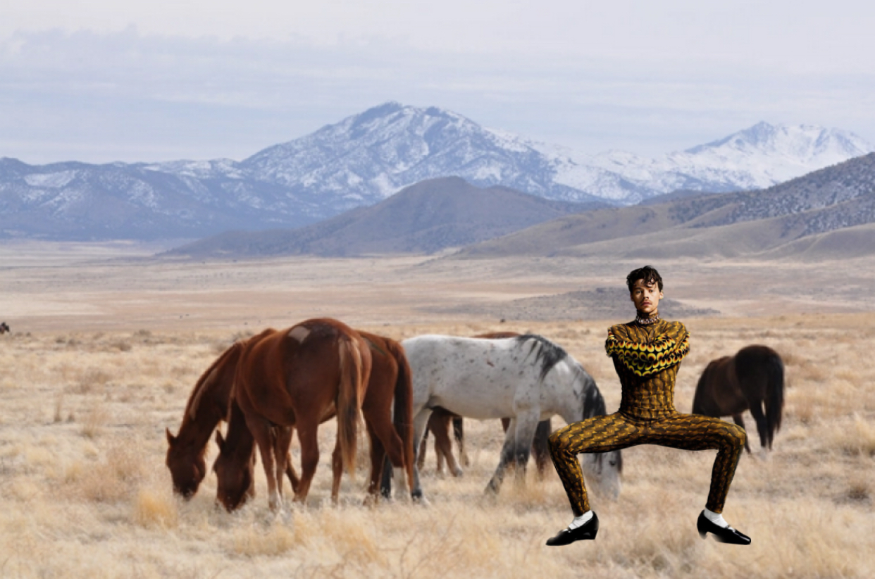 photo of harry styles with some horses